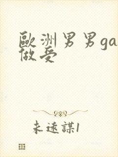 欧洲男男gay做受