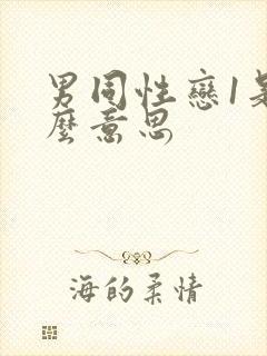 男同性恋1是什么意思