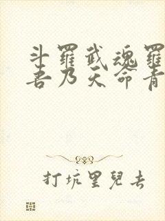 斗罗武魂罗三炮吾乃天命青龙笔趣阁