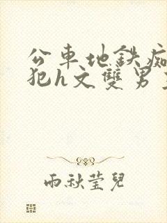 公车地铁痴汉侵犯h文双男主在线阅读