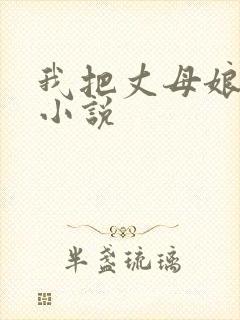 我把丈母娘操了小说