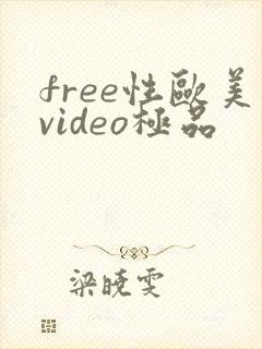 free性欧美video极品