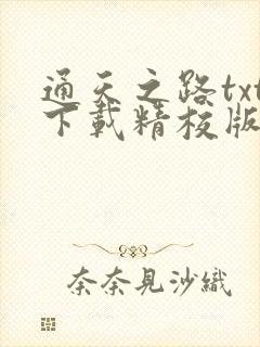 通天之路txt下载精校版