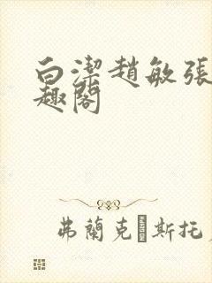 白洁赵敏张倩笔趣阁封面