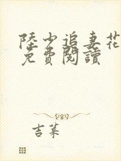 陆少追妻花样多免费阅读