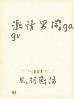 激情男同gaygv