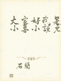 大家好我是叫林小喜小说免费阅读