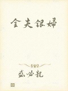 金夫银妇封面