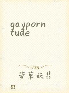 gayporntude