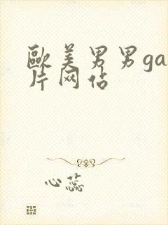 欧美男男gay片网站