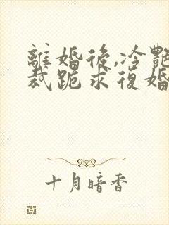 离婚后,冷艳总裁跪求复婚把