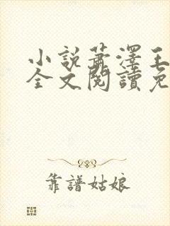 小说萧泽王雪凤全文阅读免费