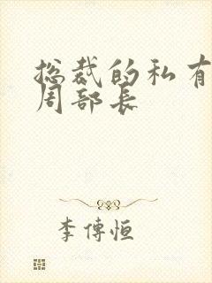 总裁的私有宝贝周部长