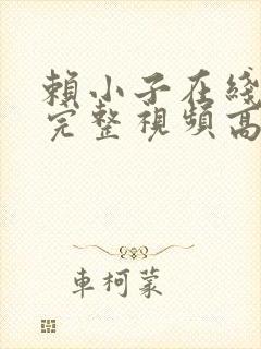 赖小子在线观看完整视频高清