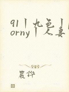 91丨九色丨porny丨人妻