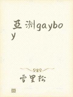 亚洲gayboy
