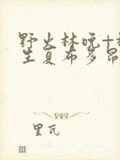 野火林晚+林潮生夏布多昂笔趣阁