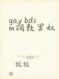 gay bdsm调教男奴封面