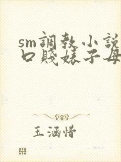 sm调教小说重口贱婊子母狗