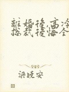 离婚后,高冷女总裁后悔全封面