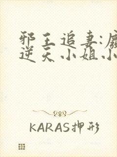 邪王追妻:废材逆天小姐小说封面