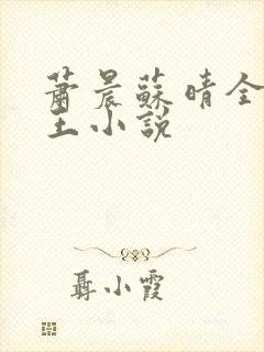 萧晨苏晴全能兵王小说