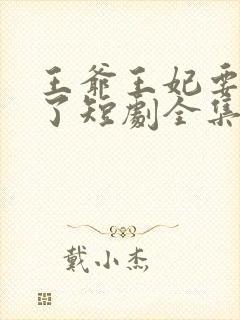 王爷王妃要和离了短剧全集