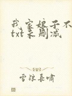 我家娘子不对劲txt未删减封面