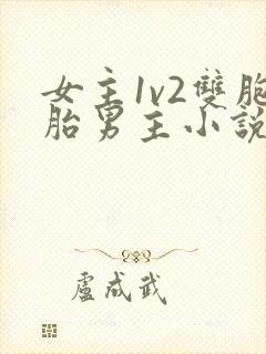 女主1v2双胞胎男主小说