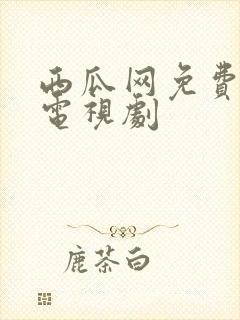 西瓜网免费观看电视剧