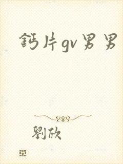 钙片gv男男封面