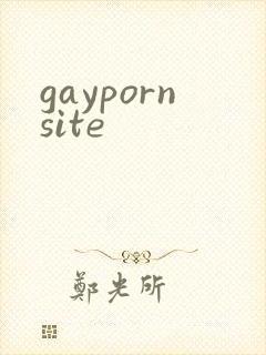 gaypornsite封面