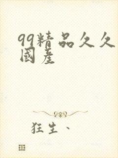 99精品久久久国产封面