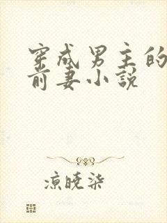 穿成男主的炮灰前妻小说