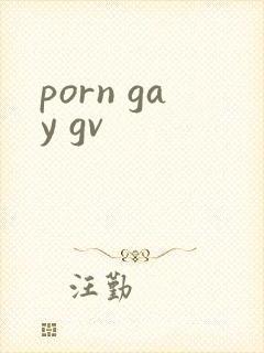 porn gay gv