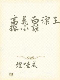 高义白洁王申赵振小说