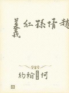 美红孙倩赵敏高义封面