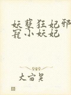 妖孽狂妃邪君溺宠小妖妃封面