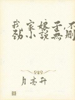 我家娘子,不对劲小说无删减封面