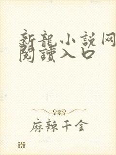 新龙小说网免费阅读入口
