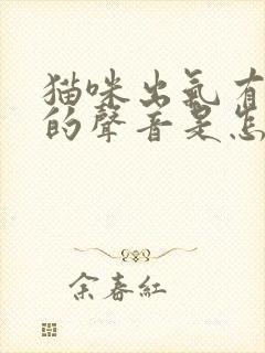 猫咪出气有呼呼的声音是怎么回事