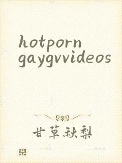 hotporngaygvvideos