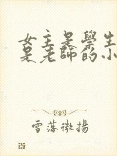 女主是学生男主是老师的小说