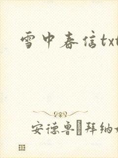 雪中春信txt封面