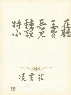 特种兵王在山村小说免费听书封面