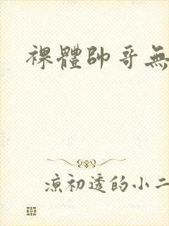 裸体帅哥无遮挡