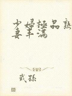 少妇极品熟妇人妻丰满