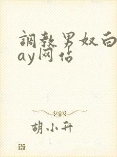 调教男奴白袜gay网站封面