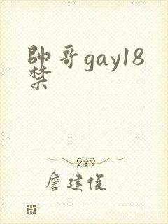 帅哥gay18禁