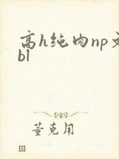 高h纯肉np文bl